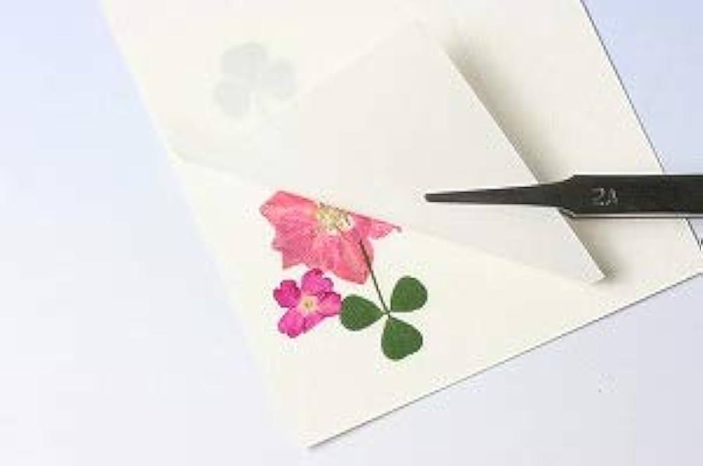 Amazon | 押し花はがき材料セット(押し花ｱｲﾛﾝﾌｨﾙﾑ) | ポスト